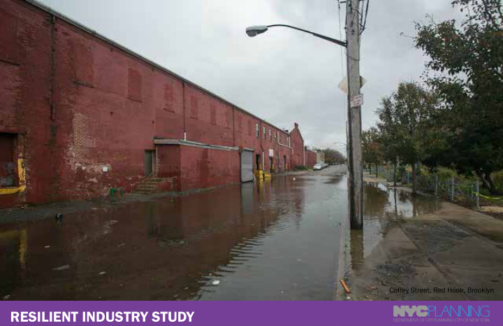 resilient industry study