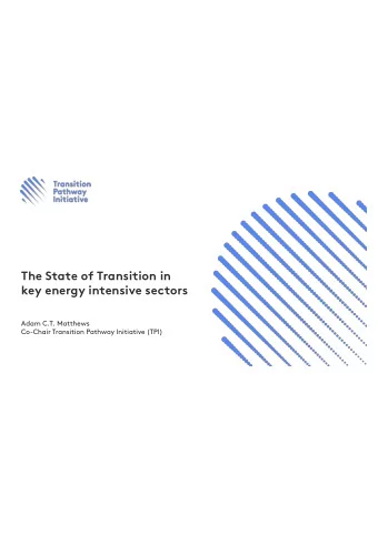 The State of Transition in  key energy intensive sectors  Adam C.T. Matthews  Co-Chair Transition