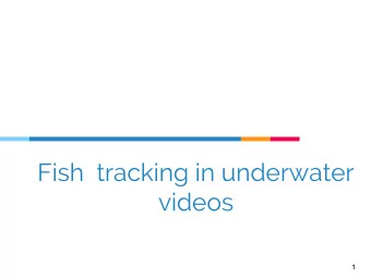 videos  1  PLAN  Professional career  Introduction: Problem and objective  State of the
