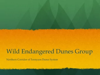 Wild Endangered Dunes Group  Northern Corridor of Tennyson Dunes System  WHY ARE COASTAL GROUPS  AT
