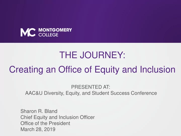 the journey creating an office of equity and inclusion