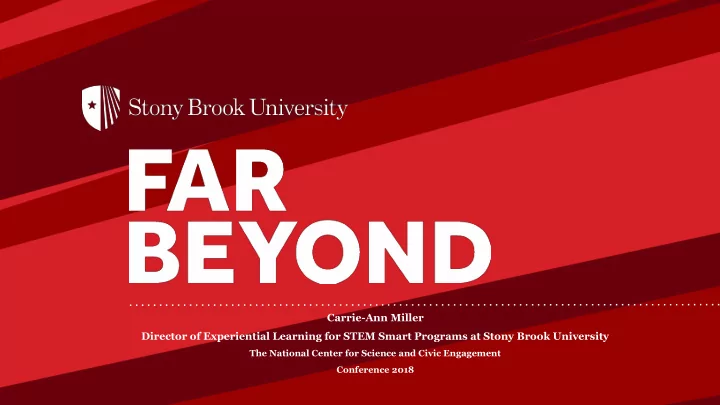 carrie ann miller director of experiential learning for