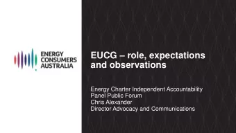 EUCG  role, expectations  and observations  Energy Charter Independent Accountability  Panel
