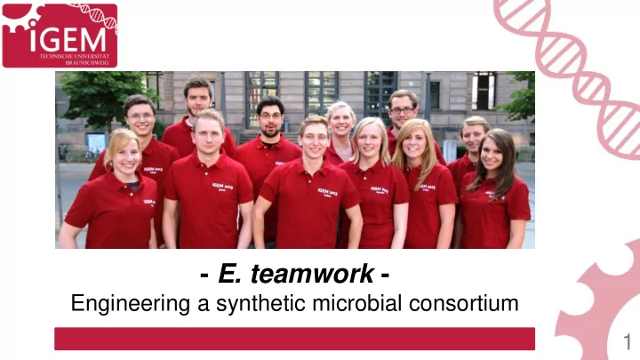 e teamwork