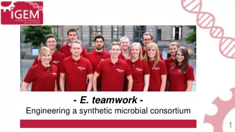- E. teamwork -  Engineering a synthetic microbial consortium  1  2  3 No stable ratio in  mixed