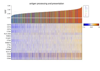 antigen processing and presentation  6.94  A *  A C *  A C F *  2.42  A F *  GSZ  C F *  F *