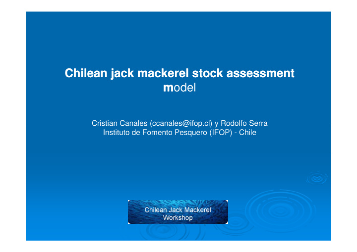 chilean chilean jack jack mackerel mackerel stock stock
