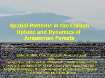 Spatial Patterns in the Carbon  Uptake and Dynamics of  Amazonian Forests  Yadvinder Malhi, Oliver