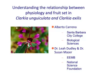 Understanding the relationship between  physiology and fruit set in physiology and fruit set in