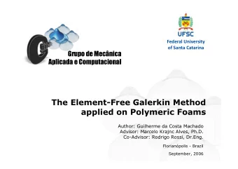 The Element-Free Galerkin Method  applied on Polymeric Foams  Author: Guilherme da Costa Machado