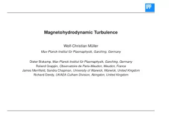 Magnetohydrodynamic Turbulence  Wolf-Christian Mller  Max-Planck-Institut fr Plasmaphysik,