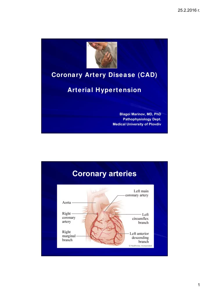coronary arteries