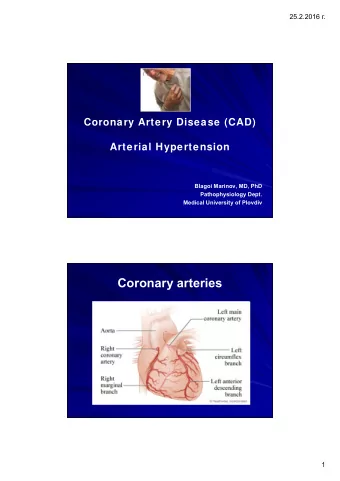 Coronary arteries  1 25.2.2016  . O 2 regimen of the heart  TDP of left  Coronary  ventricle