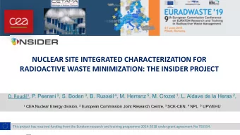 NUCLEAR SITE INTEGRATED CHARACTERIZATION FOR  RADIOACTIVE WASTE MINIMIZATION: THE INSIDER PROJECT