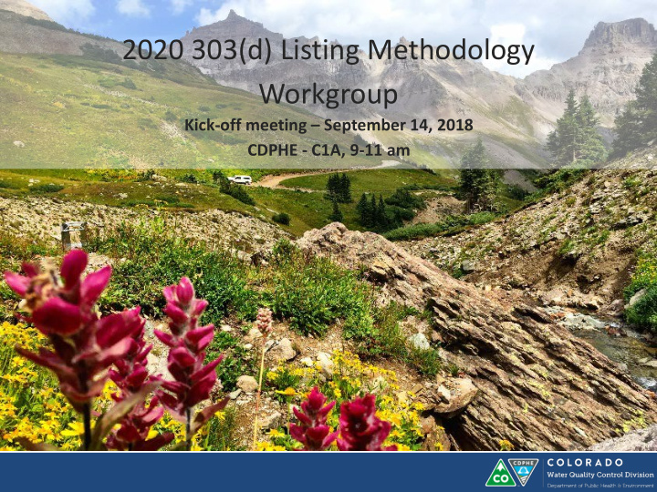 2020 303 d listing methodology workgroup