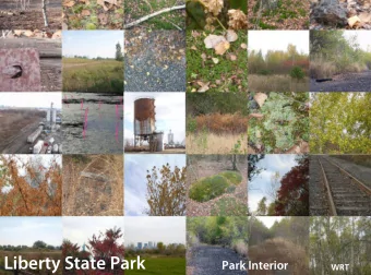 Liberty State Park  Park Interior  WRT  Liberty State Park  Today  Liberty State Park  The Park