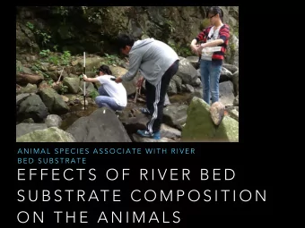 E F F E C T S  O F  R I V E R  B E D  S U B S T R AT E  C O M P O S I T I O N  O N  T H E  A N I M