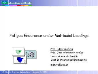 Fatigue Endurance under Multiaxial Loadings  Prof. Edgar Mamiya  Prof. Jos Alexander Arajo