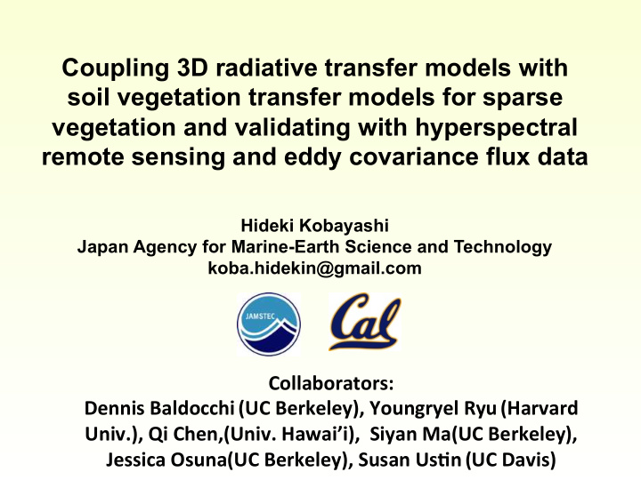 coupling 3d radiative transfer models with soil