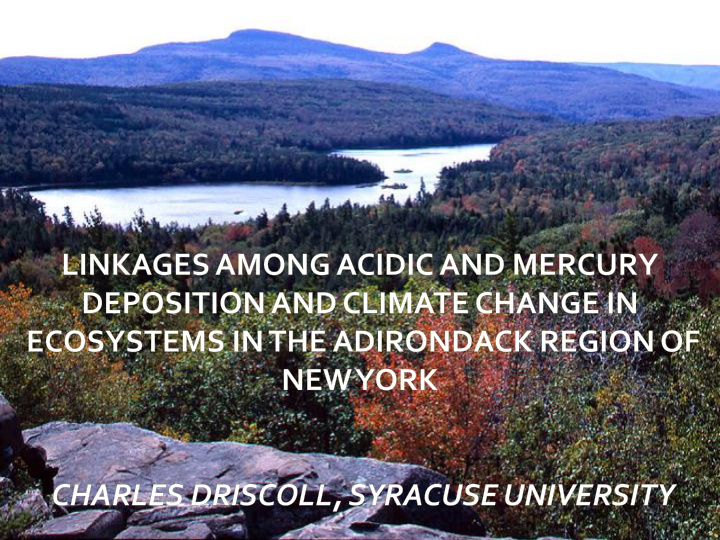 background acidic deposition patterns and issues linkages