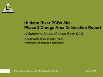 Hudson River PCBs Site  Phase 2 Dredge Area Delineation Report  A Summary for the Hudson River CAG