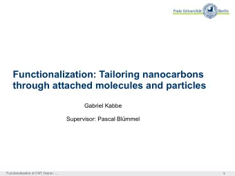 Functionalization: Tailoring nanocarbons  through attached molecules and particles  Gabriel Kabbe