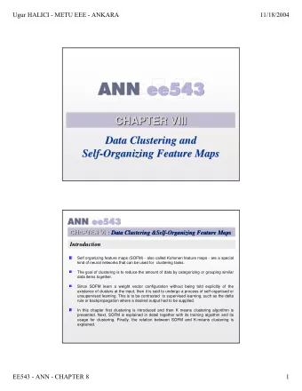 CHAPTER VIII  VIII  CHAPTER  Data Clustering and  Data Clustering and  Self-  -Organizing Feature