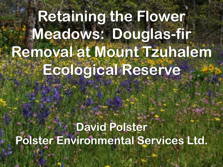 retaining the flower meadows douglas fir removal at mount