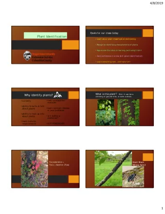 4/8/2019  Goals for our class today  Plant Identification  Learn about plant classification and
