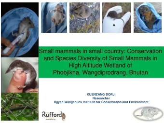 High Altitude Wetland of  Phobjikha, Wangdiprodrang, Bhutan  KUENZANG DORJI  Researcher  Ugyen