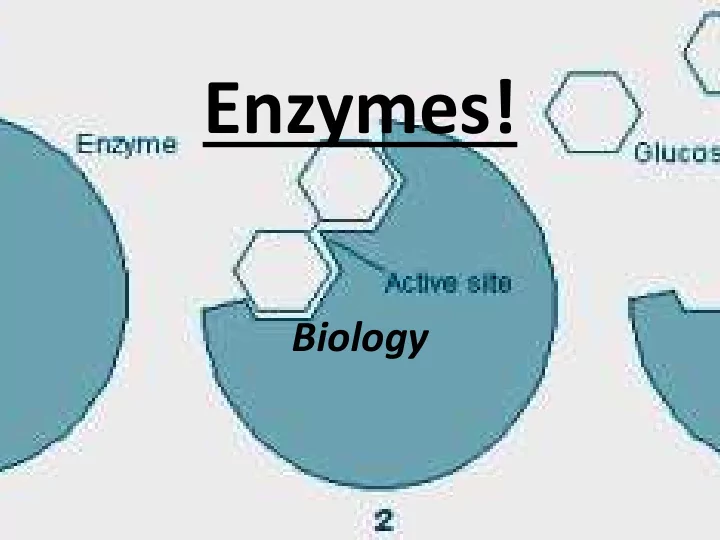 enzymes