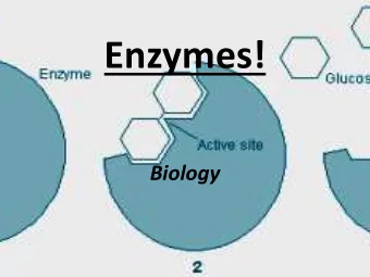 Enzymes!  Biology  Intro Video  https://www.youtube.com/watch?v=XTUm-  75-PL4  An enzyme is a