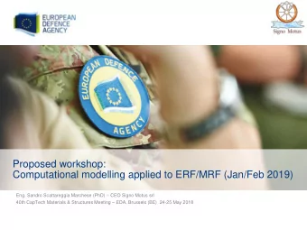 Proposed workshop:  Computational modelling applied to ERF/MRF (Jan/Feb 2019) Eng. Sandro