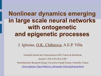 Nonlinear dynamics emerging  in large scale neural networks  with ontogenetic  and epigenetic