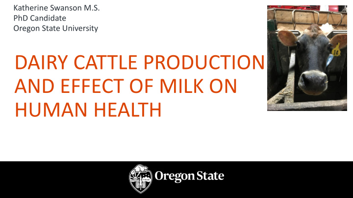dairy cattle production