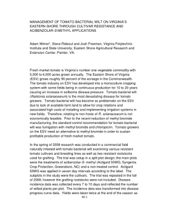 MANAGEMENT OF TOMATO BACTERIAL WILT ON VIRGINIAS  EASTERN SHORE THROUGH CULTIVAR RESISTANCE AND