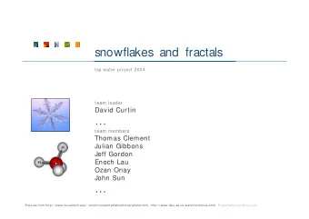 snowflakes and fractals  tsp water project 2004  team leader  David Curtin    team members