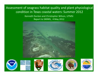 Assessment of seagrass habitat quality and plant physiological condition in Texas coastal waters: