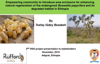 By  Tesfay Gidey Bezabeh 2 ND RSG project presentation to stakeholders  December, 2019  Adigrat,