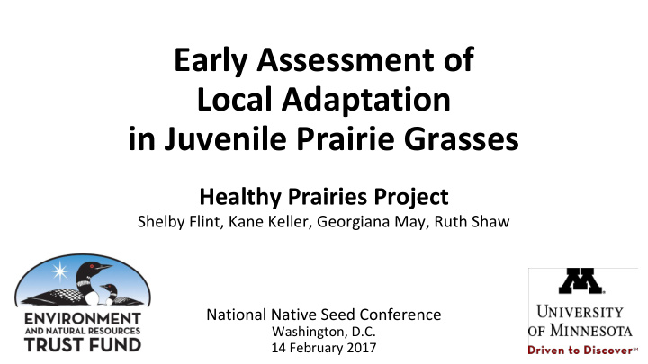 early assessment of local adaptation in juvenile prairie