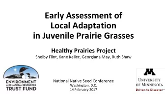Early Assessment of  Local Adaptation  in Juvenile Prairie Grasses  Healthy Prairies Project