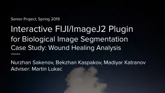 Interactive FIJI/ImageJ2 Plugin  for Biological Image Segmentation  Case Study: Wound Healing