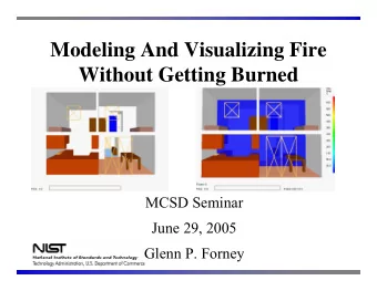 Modeling And Visualizing Fire  Without Getting Burned  MCSD Seminar  June 29, 2005  Glenn P. Forney