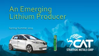 An Emerging  Lithium Producer  Spring/ Summer 2019  Disclaimer  The information contained in this