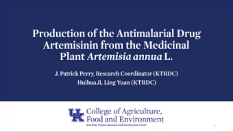 1  Transmitted by mosquitos  Prevalent in underdeveloped regions 214 Million Cases in 2015