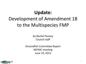 Update:  Development of Amendment 18  to the Multispecies FMP  by Rachel Feeney  Council staff