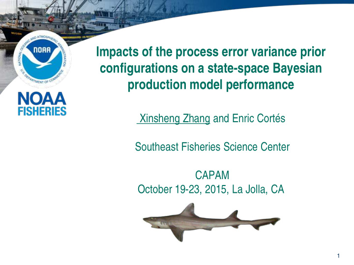 impacts of the process error variance prior