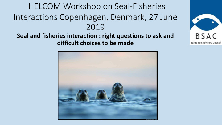 helcom workshop on seal fisheries interactions copenhagen