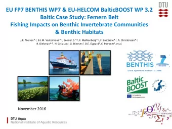 EU FP7 BENTHIS WP7 &amp; EU-HELCOM BalticBOOST WP 3.2  Baltic Case Study: Femern Belt  Fishing