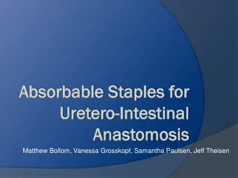 Matthew Bollom, Vanessa Grosskopf, Samantha Paulsen, Jeff Theisen  Ov  Over  ervie  iew  Project